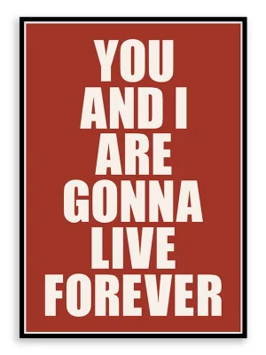 Oasis - Live Forever Lyric